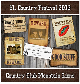 CountryFestival 2013