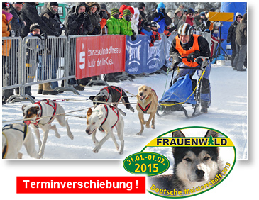 SchlittenhundeFrauenwald2015