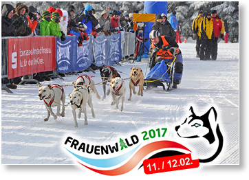 SchlittenhundeFrauenwald2017