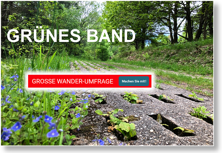Gruenes Band Wander Umfrage