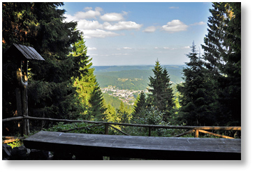 W Steinach 1